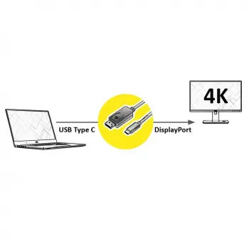 VALUE 11.99.5846 2 m USB Type-C į DisplayPort adapteris, juodas