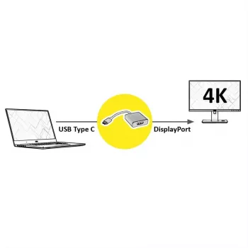 Vaizdo kabelio adapteris ROLINE 12.03.3220 USB Type-C į DisplayPort 0,1 m
