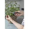 Sodinimo žirklės Bypass Gardena 12212-36 Mėlynai Pilka Plastikinė Rankena