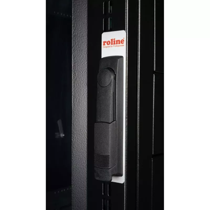 Laisvai pastatomas stovas ROLINE 19 colių serverio stovas Pro 42U 600x1000 juodas