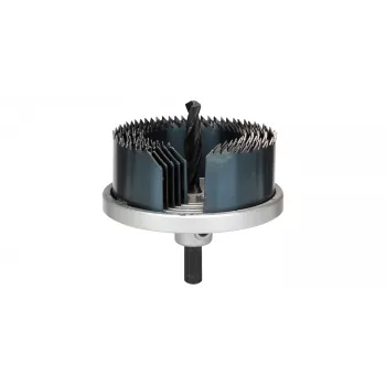 Bosch 2 607 019 451 skylėtųjų pjūklų rinkinys 5 vnt.