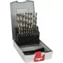 Gręžtų rinkinys Bosch HSS 2608587013