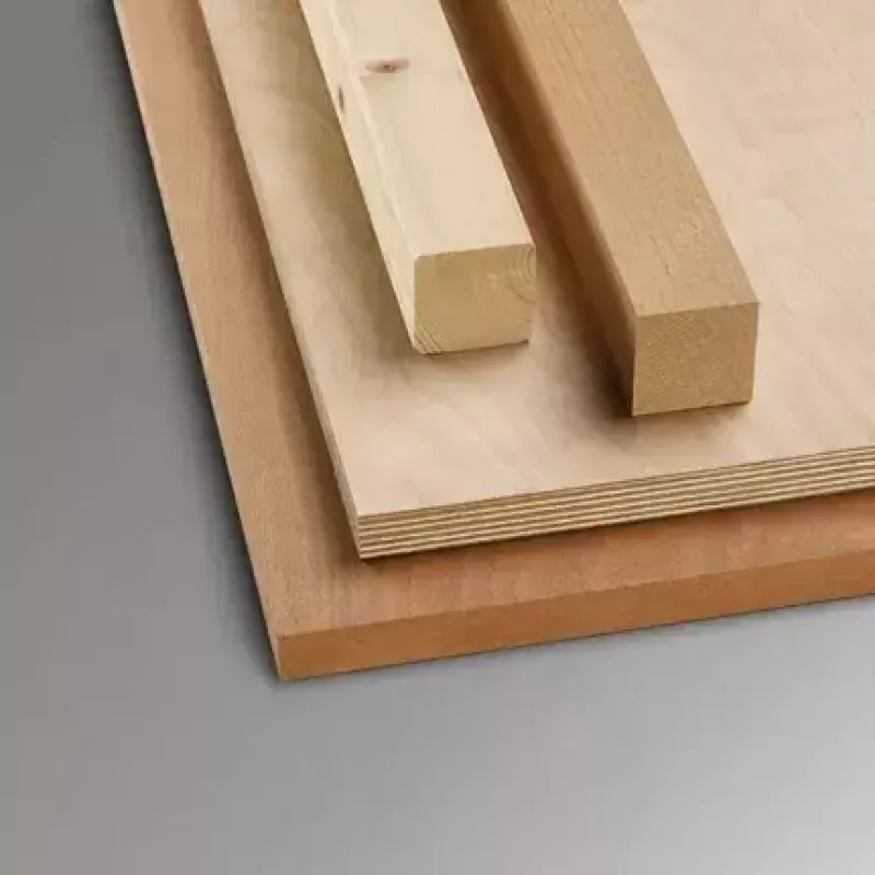 Bosch STANDARD FOR WOOD diskinis pjūklo diskas 16,5 cm 1 vnt.