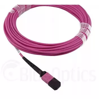 BlueOptics 3HE13896AA-1-BO InfiniBand šviesolaidinis kabelis 1 m MPO 4x LC