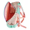 Mokyklinė kuprinė Herlitz Rookie Sweet Jungle Green Peach Polyester