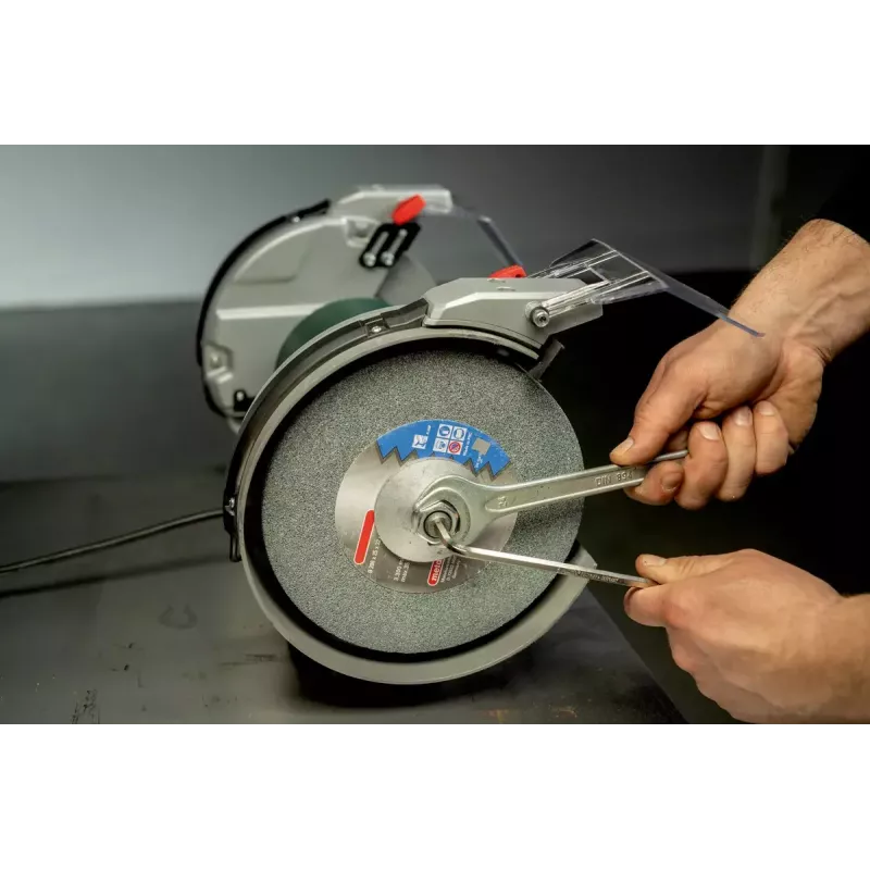 Šlifavimo staklės Metabo DS 200 Plus 2980 RPM 600 W
