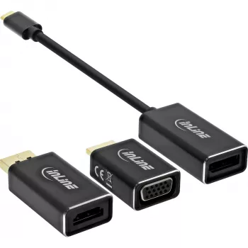 InLine USB ekrano keitiklių rinkinys 6-in-1, 4K/60Hz juodas