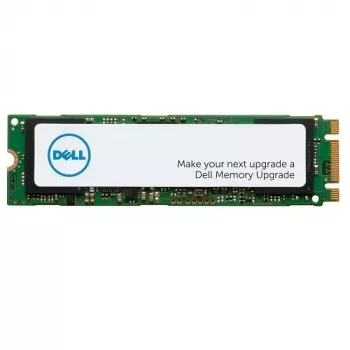 DELL AA615517 vidinis kietasis diskas 256 GB M.2 Serial ATA