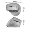 ACT AC5155 Belaidė ergonominė pelė su Bluetooth ir USB-C/USB-A imtuvu
