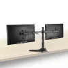 ACT laisvai pastatomas dviejų monitorių laikiklis AC8320, maks. 16 kg, 33–81,3 cm