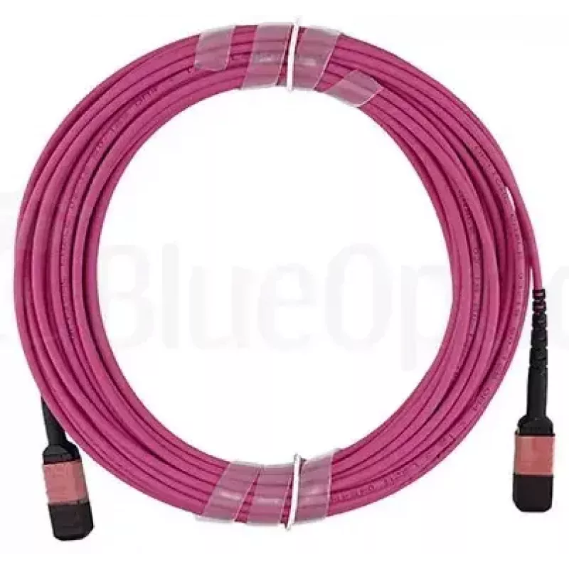 BlueOptics AV29-BO daugiamodis šviesolaidinis magistralinis kabelis, MPO/UPC – MPO/UPC, OM4, 20 m, magenta