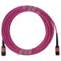 BlueOptics AV29-BO daugiamodis šviesolaidinis magistralinis kabelis, MPO/UPC – MPO/UPC, OM4, 20 m, magenta