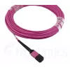 Skaidulinis optinis kabelis MPO BlueOptics CBL-MPO12-OM4-20M-BO 20 m OM4