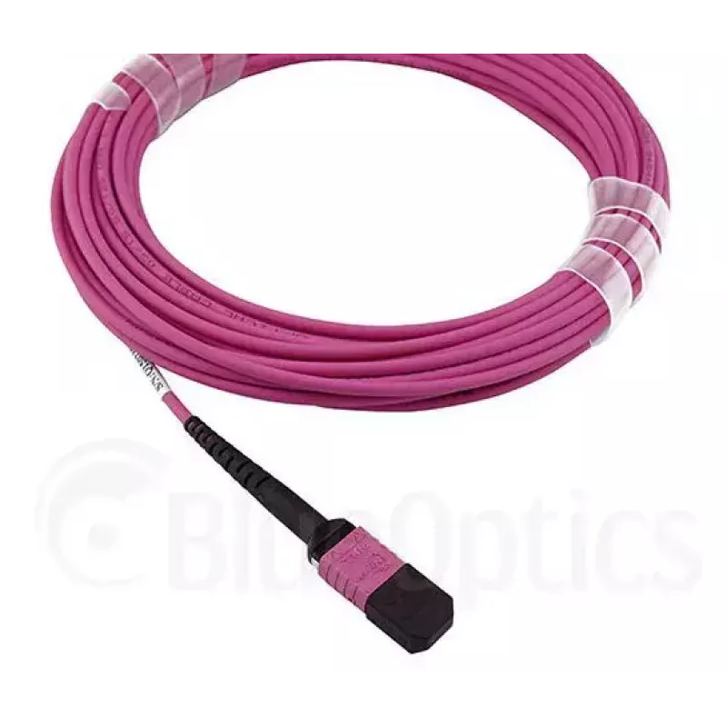 Skaidulinis optinis kabelis MPO BlueOptics CBL-MPO12-OM4-20M-BO 20 m OM4