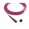 Skaidulinis optinis kabelis MPO BlueOptics CBL-MPO12-OM4-20M-BO 20 m OM4