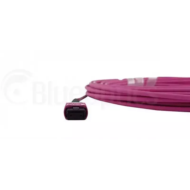Skaidulinis optinis kabelis MPO BlueOptics CBL-MPO12-OM4-20M-BO 20 m OM4