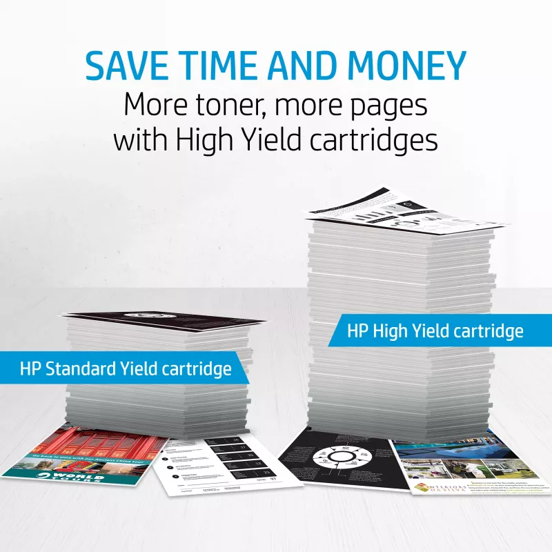HP 504X 2 vnt. didelės talpos juodi originalūs LaserJet kasečiai
