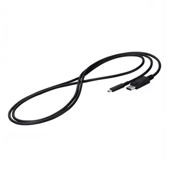EIZO CP200-BK DisplayPort kabelis 2 m USB Type-C Juodas