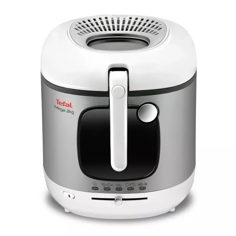Tefal FR4800 atskirai stovinti gruzdintuvė 2100 W nerūdijantis plienas, balta