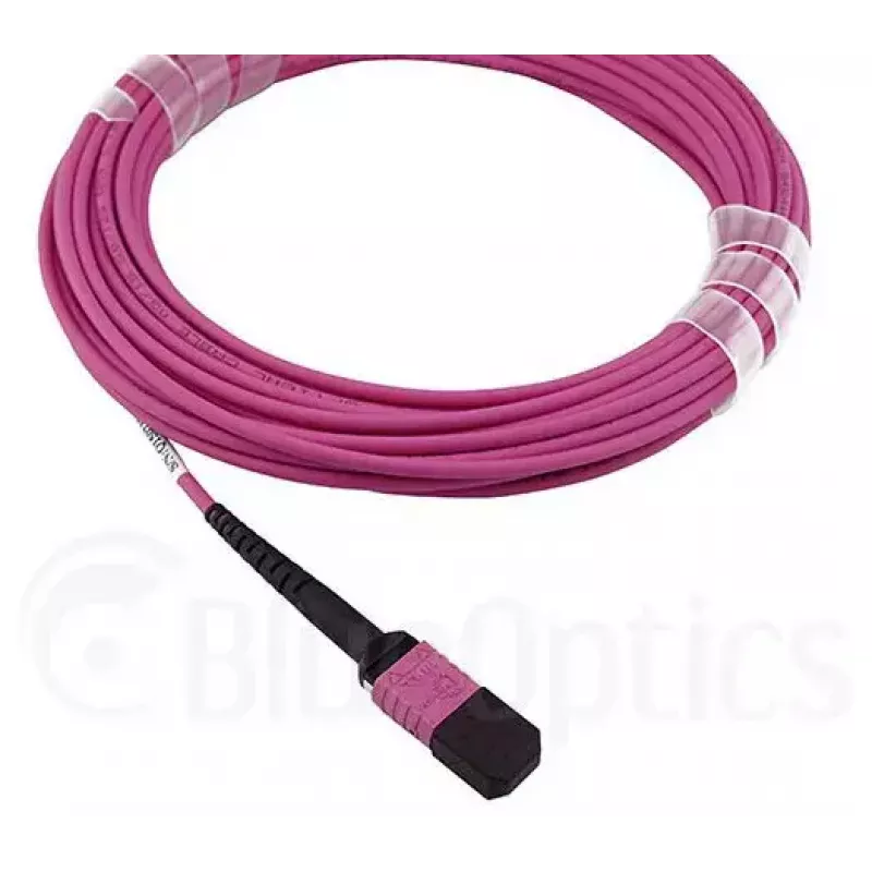 BlueOptics HH5CP InfiniBand / šviesolaidinis kabelis 3 m MPO 4x LC