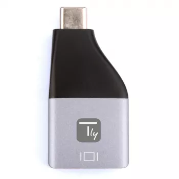 Techly IADAP USBC-DP4K USB-C į DisplayPort adapteris 4K 60Hz