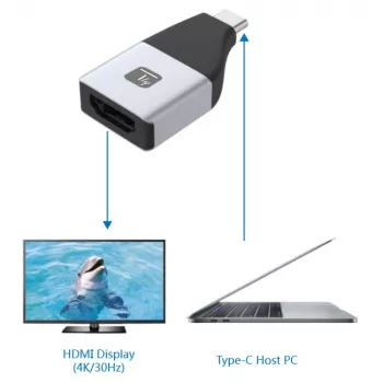 Techly IADAP USBC-HDMI4K USB-C į HDMI adapteris 4K 30Hz juodas, sidabrinis