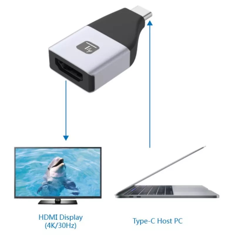 Techly IADAP USBC-HDMI4K USB-C į HDMI adapteris 4K 30Hz juodas, sidabrinis