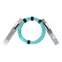 AOC laidas BlueOptics MFA1A00-C030-TG-BO QSFP28 InfiniBand 30 m Turkio