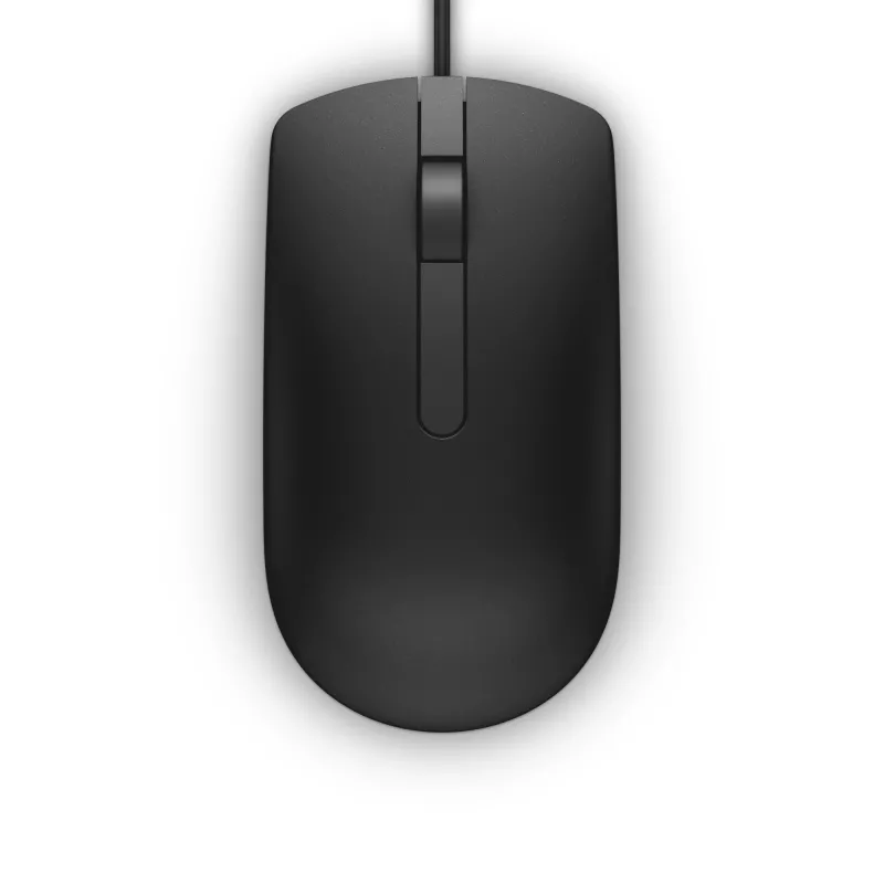 DELL MS116 pelė Office Ambidextrinė USB Type-A Optinė 1000 DPI