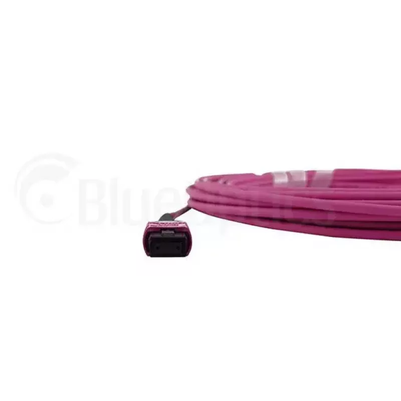 BlueOptics HPE PremierFlex QK729A 10 m MPO OM4 šviesolaidinis kabelis