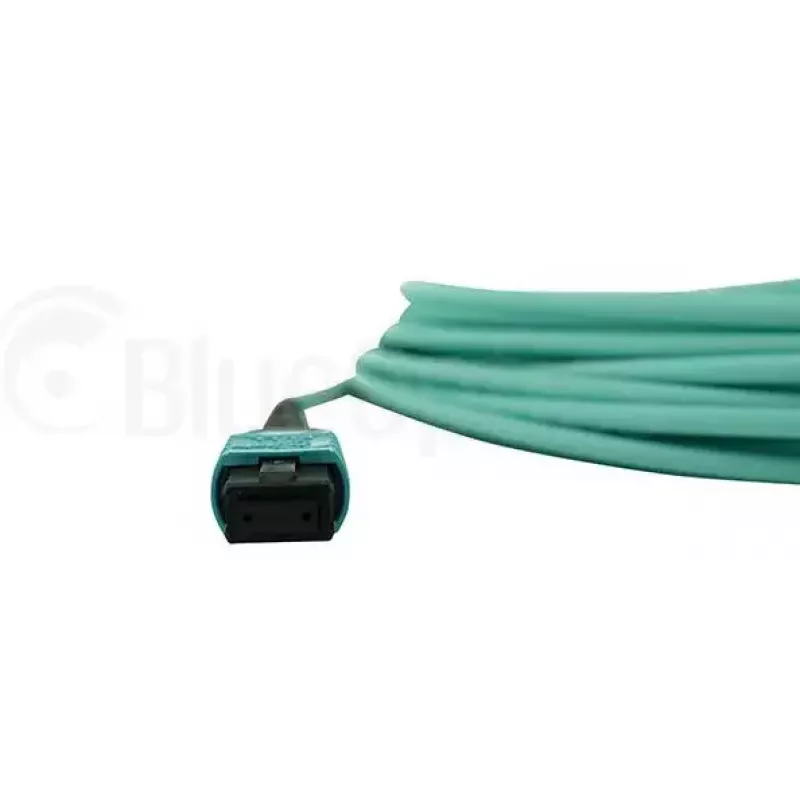Šviesolaidinis kabelis BlueOptics QSRCABLE30M-BO MPO OM3 30 m mėtų
