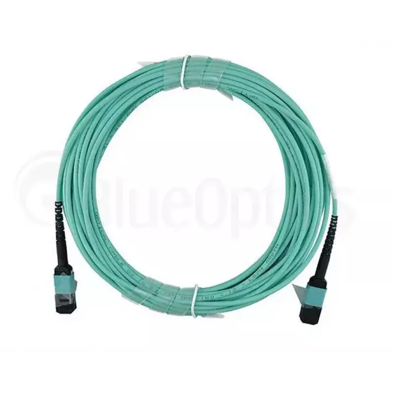 Šviesolaidinis kabelis BlueOptics QSRCABLE30M-BO MPO OM3 30 m mėtų
