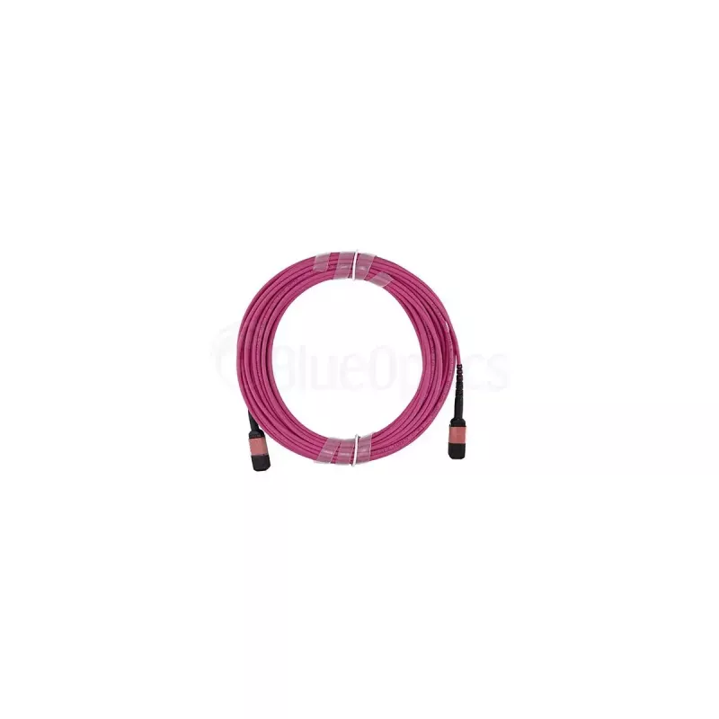 BlueOptics SFP5252FU2MKB InfiniBand šviesolaidinis magistralinis kabelis 2 m MPO OM4