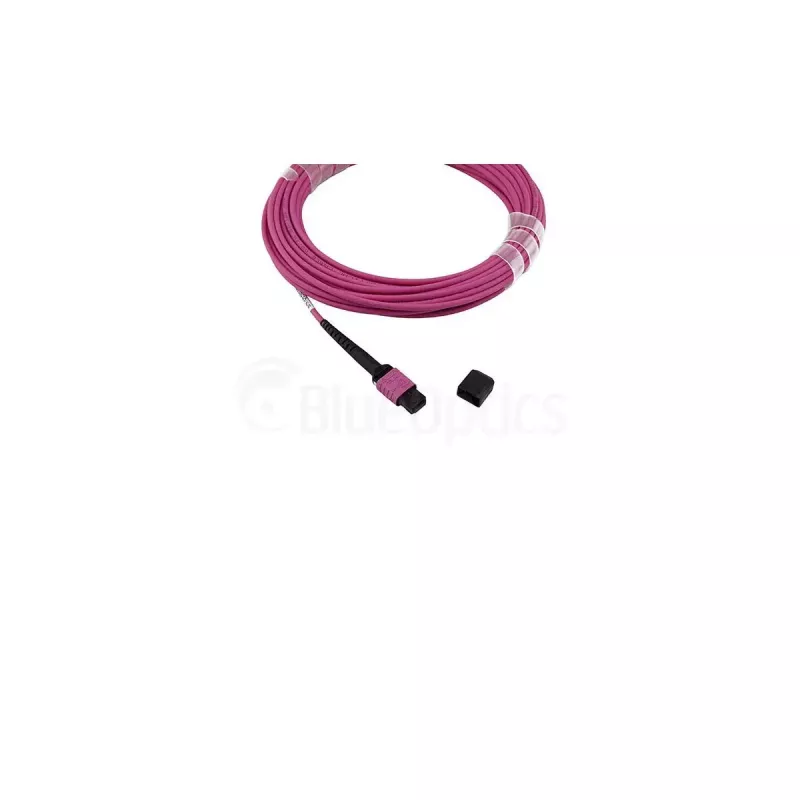 Skaidulinis optinis kabelis BlueOptics SFP5252FU50MKB MPO OM4 50 m violetinis