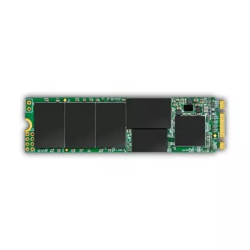 SSD diskas Transcend 256GB M.2 SATA III 6Gbit/s TS256GMTS832S