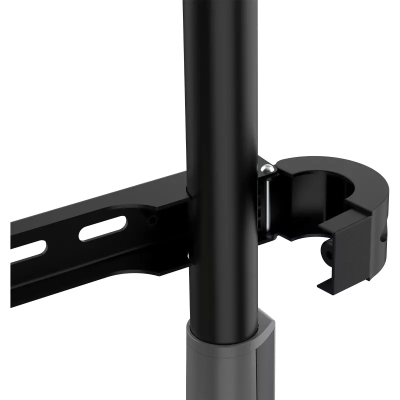 InLine Woodstand Studio medinis TV stovas, 49 inch–70 inch (124–178 cm), max. 40 kg