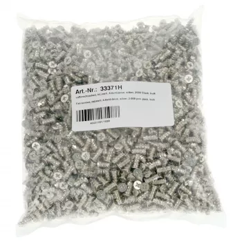 InLine varžtai ventiliatoriams 5,0x10,0 mm sidabriniai, 2 000 vnt. pakuotė