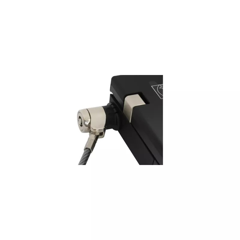 InLine Notebook Security Lock su raktu 4,4 mm x 2 m