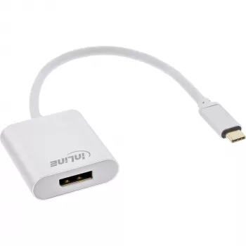 USB-C į DisplayPort adapteris InLine 64102S 4K 60Hz