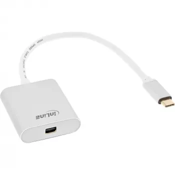 USB vaizdo keitiklis InLine 64105S USB-C (vyriškas) į Mini DisplayPort 4K 60Hz sidabrinis
