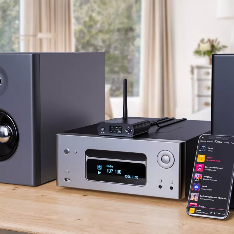 InLine Bluetooth 5.1 HiFi imtuvas ir USB DAC su LCD, 30 m diapazonas