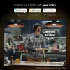 Philips Hue White and Colour Ambience išmanioji LED lempučių rinkinys — 2× E27 11W, Bluetooth/Zigbee