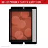 Displex TABLET PRIVACY SAFE nuimamas dvipusis privatumo filtras, skirtas iPad 10,2 inch (7./8./9. kartos)