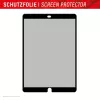 Displex TABLET PRIVACY SAFE nuimamas dvipusis privatumo filtras, skirtas iPad 10,2 inch (7./8./9. kartos)