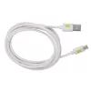 Techly ICOC MUSB20-CMAM20TW USB 2.0 laidas 2 m USB A USB C baltas
