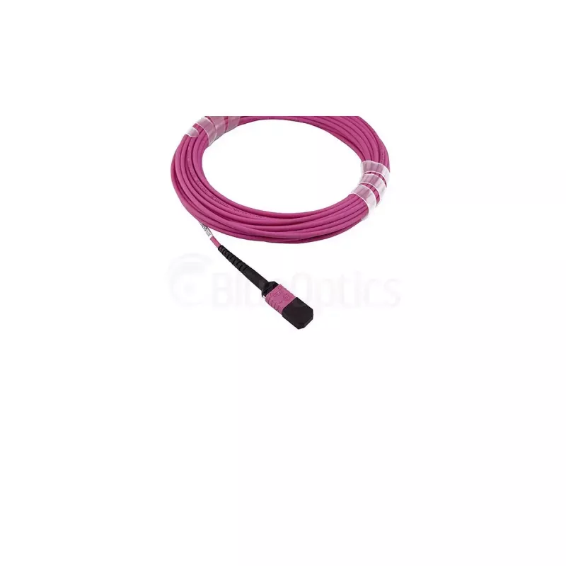 BlueOptics SFP5141FU1MKB InfiniBand šviesolaidinis kabelis 1 m MPO 4x LC OM4