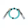 BlueOptics QSFP-100G-AOC-50M-BO InfiniBand aktyvus optinis kabelis 50 m, vyriškas/vyriškas