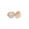 Medinis magnetas Legamaster 25mm 5 vnt.