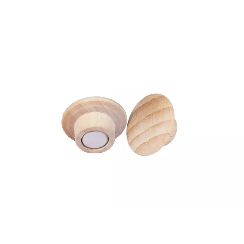 Medinis magnetas Legamaster 25mm 5 vnt.