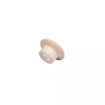 Medinis magnetas Legamaster 25mm 5 vnt.